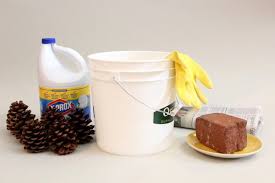 So Konnt Ihr Zapfen Bleichen Weihnachtsdeko Videoanleitung Cooletipps De Mit Tannenzapfen Basteln Tannenzapfen Tannenzapfen Dekor