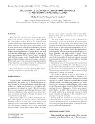 Image result for pseudomonas savastanoi pv nerii oleander symptoms