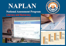 Tasmania's results in reading at all year levels indicate that this is one of our strongest domains. Naplan Melbourne Tutorials
