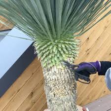 pin on ドライガーデン