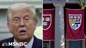 Janice Babcock, Markham Welcome Centre