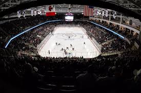 Image result for Ochna hackarsii