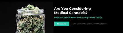 The individual you are providing care for must be physically disabled or a. How To Get An Arkansas Medical Marijuana Card In 2020 Leafwell By Leafwell Co Medium