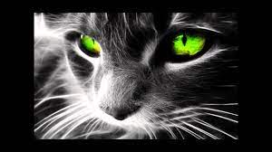 Provided to youtube by routenote discotec · verano · veranos 50 techno electro tunes vol. Verano Disc O Tec Headrockin Club Mix Youtube