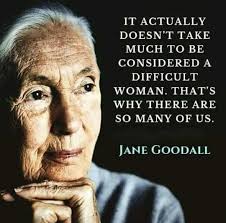 A real privilege to be the guest speaker at the celebration of @David Robie  MNZM's King's Honour and 50 years' contribution to journalism and  journalism education. We worked together setting up the