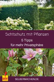 Sichtschutz Mit Hecken Kletterpflanzen Und Ziergrasern Pflanzen Kletterpflanzen Sichtschutz Pflanzen
