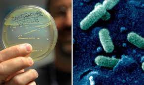 The listeria bacterium is able to enter and survive within immune cells such as macrophages. Listeria Warning What Is Listeria What Are The Symptoms And How Do You Catch It Express Co Uk