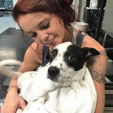 Total Pawfection Salon