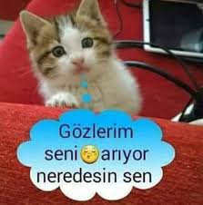 Murat Ayceken Adli Kullanicinin Ask Panosundaki Pin Komik Metinler Komik Alintilar Komik Seyler