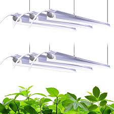 Maybe you would like to learn more about one of these? Amazon Com Ipower Glt5xx4 54w 4 Feet T5 Fluorescent Grow Light System With Stand Rack For Plant Seed Starting 6400k 1 Pack Green Patio Lawn Garden