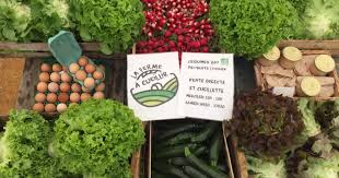 Presentation La Ferme A Cueillir