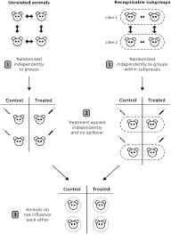 Check spelling or type a new query. What Exactly Is N In Cell Culture And Animal Experiments