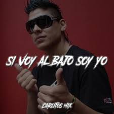Si Voy Al Bajo Soy Yo
