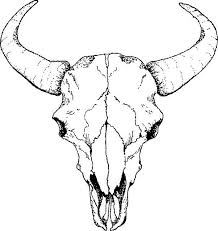 Taurus Skulls Drawing Bull Skull Tattoos Skull Drawing Sketches