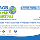 Nature Walk: Ancient Woodland Walks Mistley