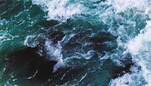 Voilà pourquoi en nutrition rien est si simple. Pourquoi L Eau De Mer Est Elle Salee La Culture Generale