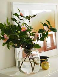 Camellia Round Glass Vase Brass Apple Black Bowl White Sideboard Photo Charlotte Coffey Round Glass Vase Glass Vase White Sideboard