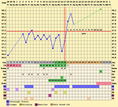 Update To A Bfp Chart After Early Dating Ultrasound