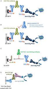 Check spelling or type a new query. Low Immunogenicity Of Tocilizumab In Patients With Rheumatoid Arthritis Annals Of The Rheumatic Diseases