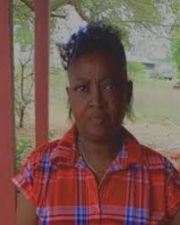 Debora Ann Little Obituary (2023)