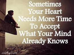 Sometimes Your Heart Quotes Photography Quote Love Love Quote Love Quotes Words Quotes Life Quotes