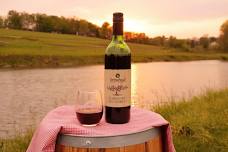 Summer Solstice Wine Festival