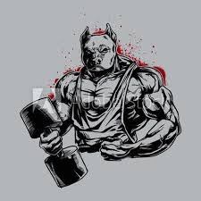 Stock Image Pitbull Bodybuilder Bring Dumbbell For Gym Logo Mascot In 2020 Pitbulls Gym Logo Collection