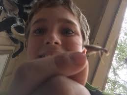 Little guy made quite a buzz. West of fort worth texas