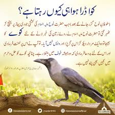 Image result for islamic pic