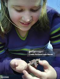 11 Ck Burns School Stock Photos, High-Res Pictures, and Images