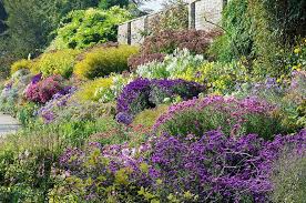 October Flower Borders At Waterperry Gardens Oxfordshire Uk English Flower Borders 37 Of 50 October Flowers Flower Garden Borders Vertical Garden