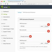 How To Change My Vpn Username And Password Cactusvpn