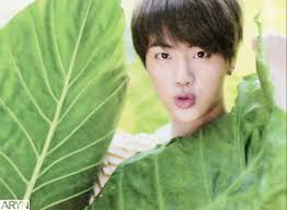 Stream 2015 bts live trilogy episode i. Jin Bts Summer Package 2015 Bts Jin Bts Summer Package Bts Summer Package 2015