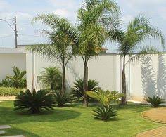 The palmengarten is one of three botanical gardens in frankfurt am main, germany. 15 Palmen Garten Ideen Palmen Garten Garten Garten Ideen