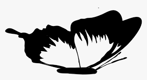 Download Butterfly Black White Line Art Svg Clipart Black And White Hd Png Download Transparent Png Image Pngitem
