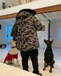 Jejeje The Weeknd Boyfriend Material New Pictures