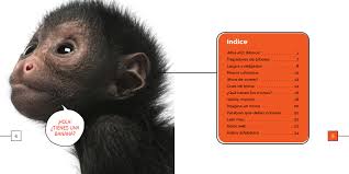 Image result for Monosis conferta