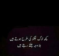 Education Is Not Preparation For Life Education Is Life Itself Meaning In Urdu Pin By Saba Afrin On Dil Ki Zuban Funny School Jokes Sarcastic Humor Emotional Quotes