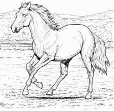 Coloriage204 Coloriage De Chevaux A Imprimer Gratuit