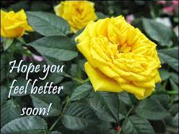 Ask ann to write a card to go with the flowers. Hope Your Feeling Better Quotes Quotesgram