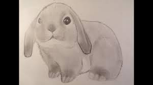 Apprenez comment dessiner un lapin grâce à notre nouveau tutoriel simple et détaillé dédié à cet animal. Dessin Dessiner Une Petit Lapin Belier Youtube