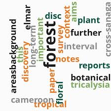 Image result for Tricalysia sp. E