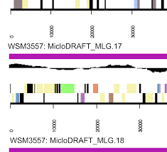 Image result for Lotononis stipulosa