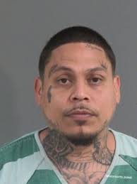 Charleston County Mugshots Zone