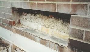 Keep bugs outside of your home where they belong by installing weep hole insect barriers. Construction Defects Mortar Bridging And Mortar Droppings