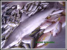 Tuna cincang•kentang•bombay•bawang putih•bubuk kari•garam•gula•daun bawang. Ikan Dan Karangan Laut Badriahsweet S Blog