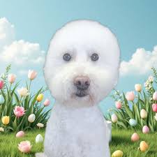 Ruff Cuts Pet Grooming