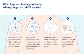 Maybe you would like to learn more about one of these? Covid 19 Vaccine News Events Helmholtz Centre For Infection Research