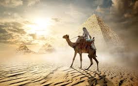 Egypt wallpapers for 4k, 1080p hd and 720p hd resolutions and are best suited for desktops, android phones, tablets, ps4 wallpapers. Desktop Wallpapers Camels Egypt Cairo Desert Pyramid 3840x2400
