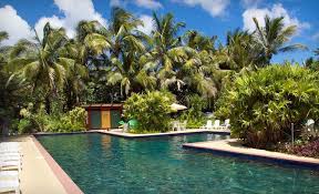 Check spelling or type a new query. Five Night Yoga Retreat With Lodging Meals And Classes At Kalani In Pahoa Hi Night Yoga Yoga Retreat Washington Dc Getaway
